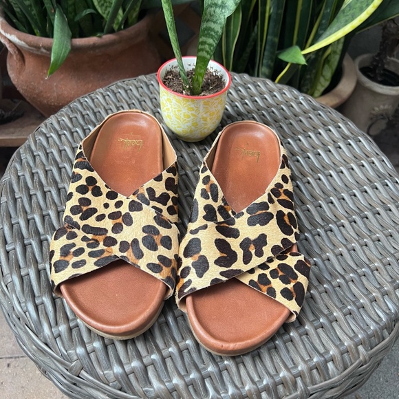 Beek Robin Genuine Calf Hair Slide Sandal in Leopard - Picture 3 of 11